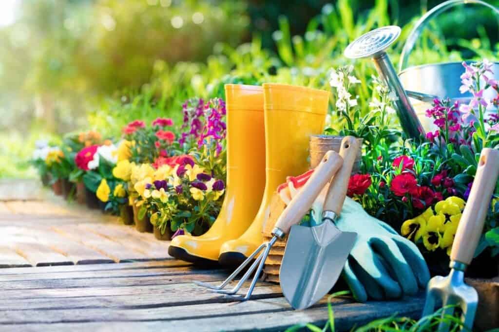 gardening quiz questions and answers