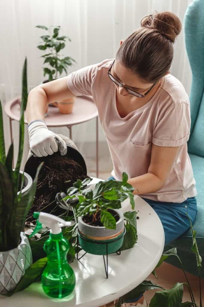 plant trivia
