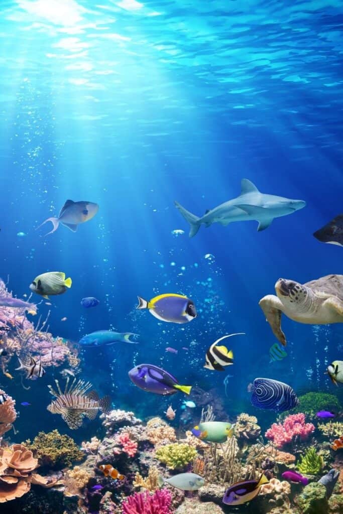 fish trivia questions