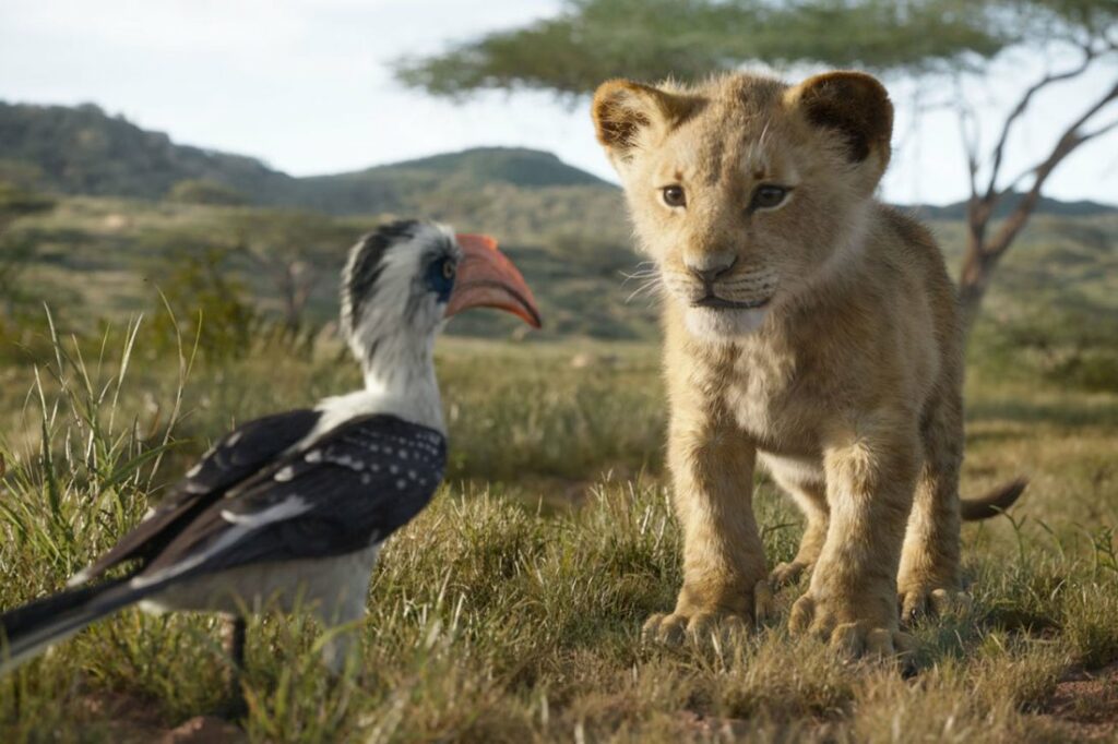questions about lion king