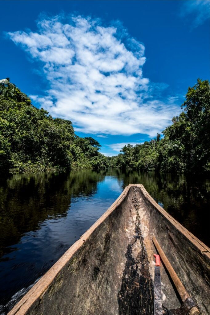 what is the worlds longest river