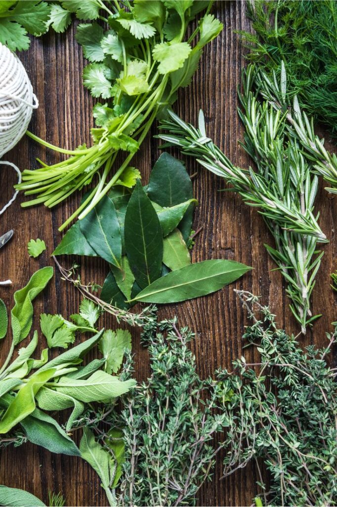 quiz about herbs